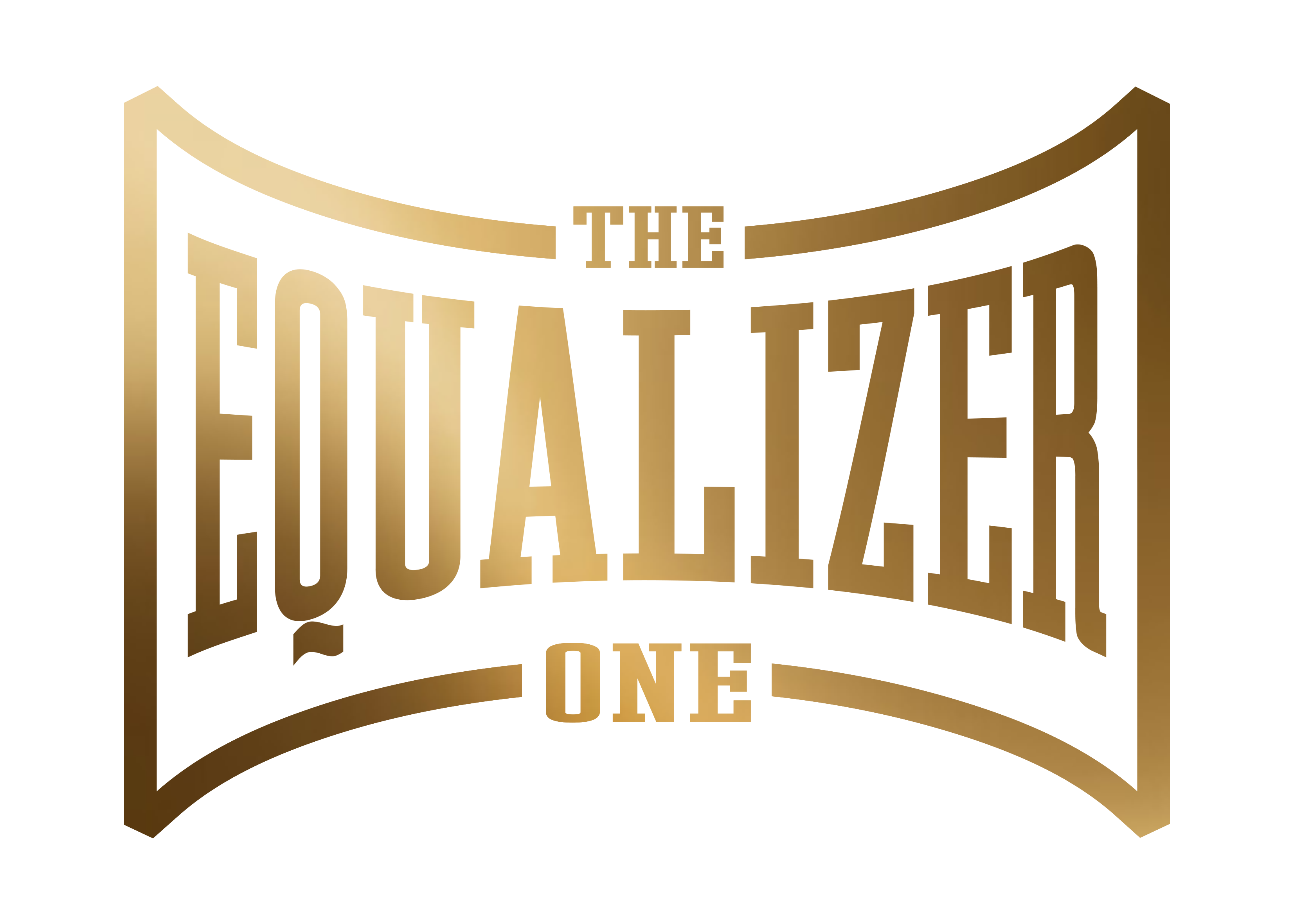 The Equalizer